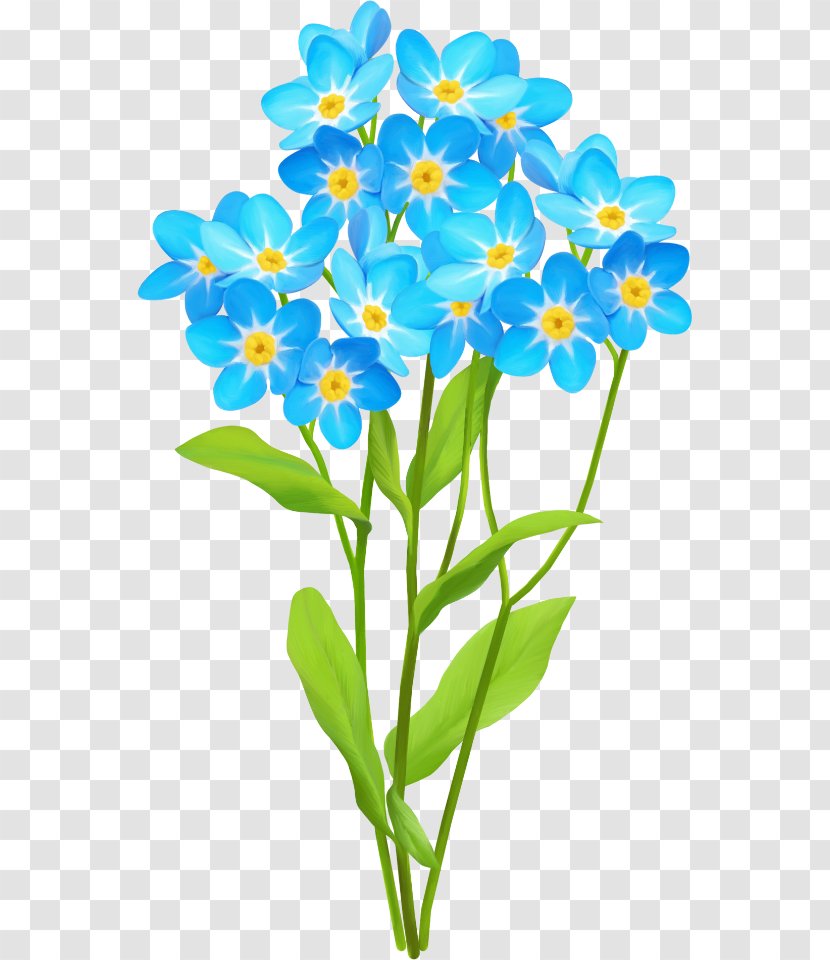 Dnevnik.ru Flower LiveInternet Diary Blog - Cut Flowers - Spring Aspect Transparent PNG