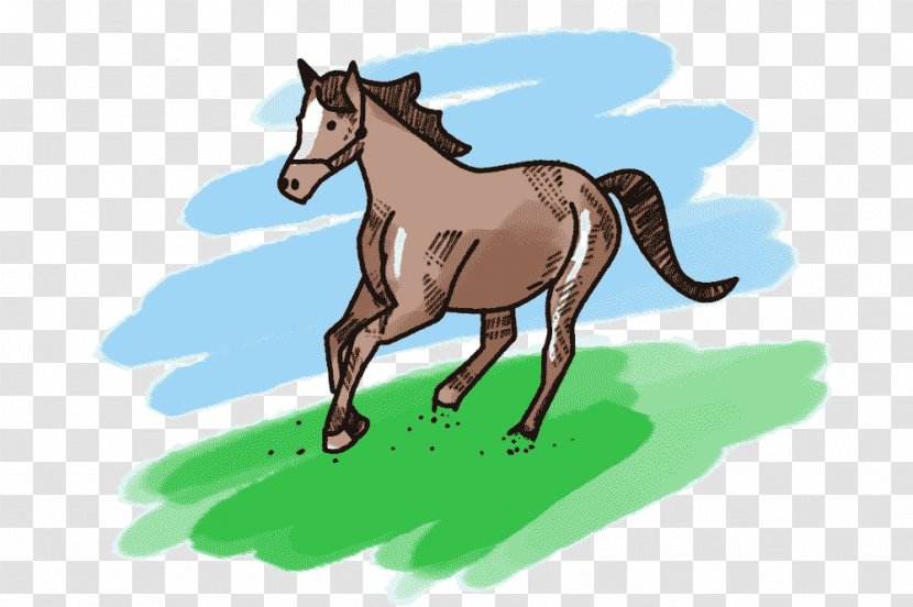 Mule Foal Mustang Stallion Pony Transparent PNG