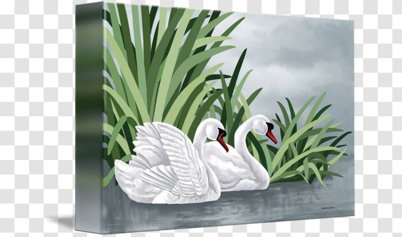 Duck Goose Mute Swan Painting Gallery Wrap - Fauna Transparent PNG