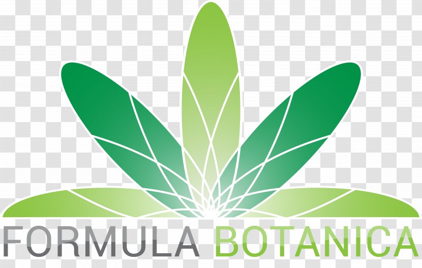 Natural Skin Care Formula Science - Research - Leaf Transparent PNG