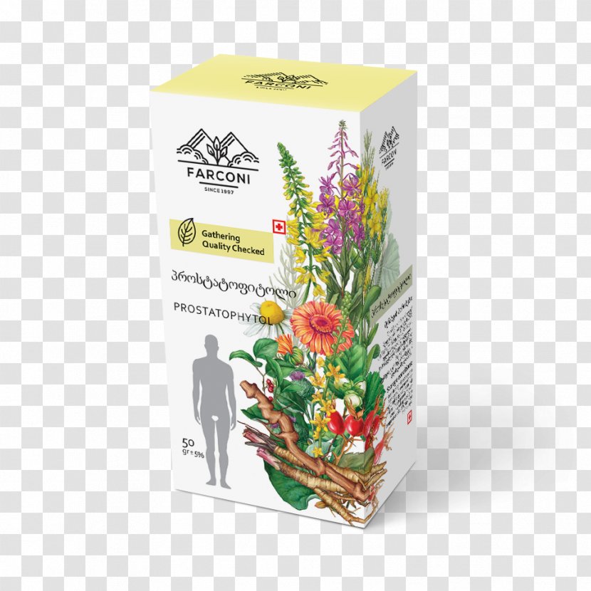 Medicinal Plants Herb Bay Laurel Medicine Floral Design - Ru - Agrimonia Transparent PNG