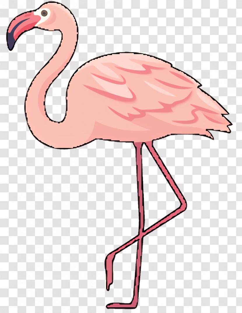 Flamingo Silhouette - Beak - Neck Transparent PNG
