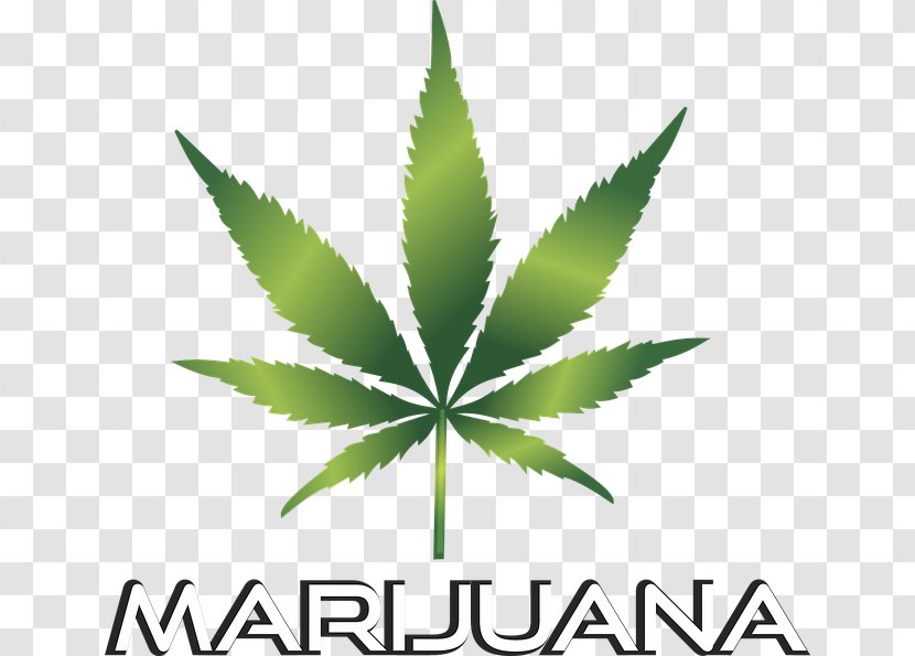 Adult Use Of Marijuana Act Medical Cannabis Clip Art - Plant Transparent PNG