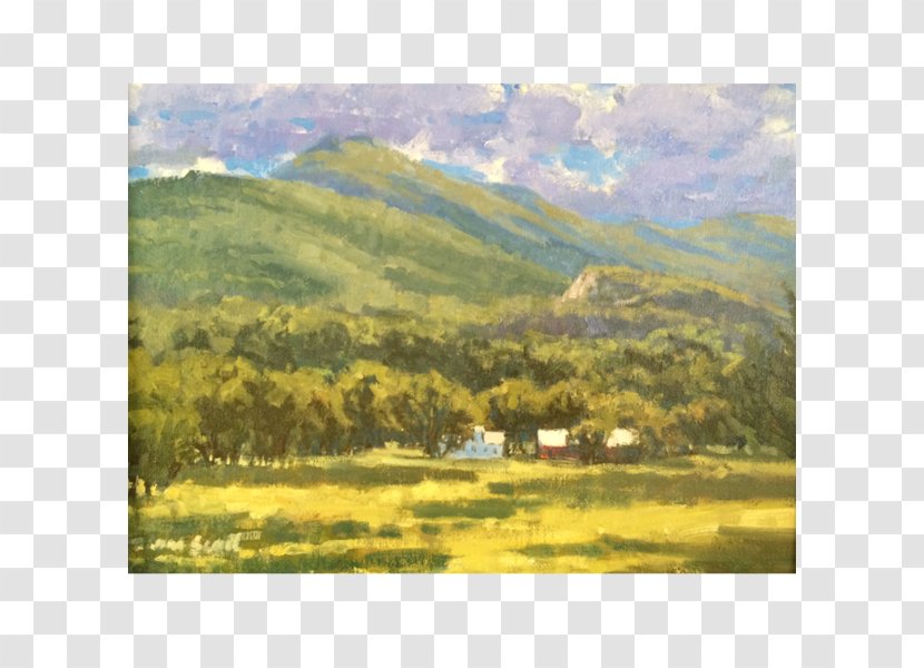 Watercolor Painting Steppe Grassland - Savanna Transparent PNG