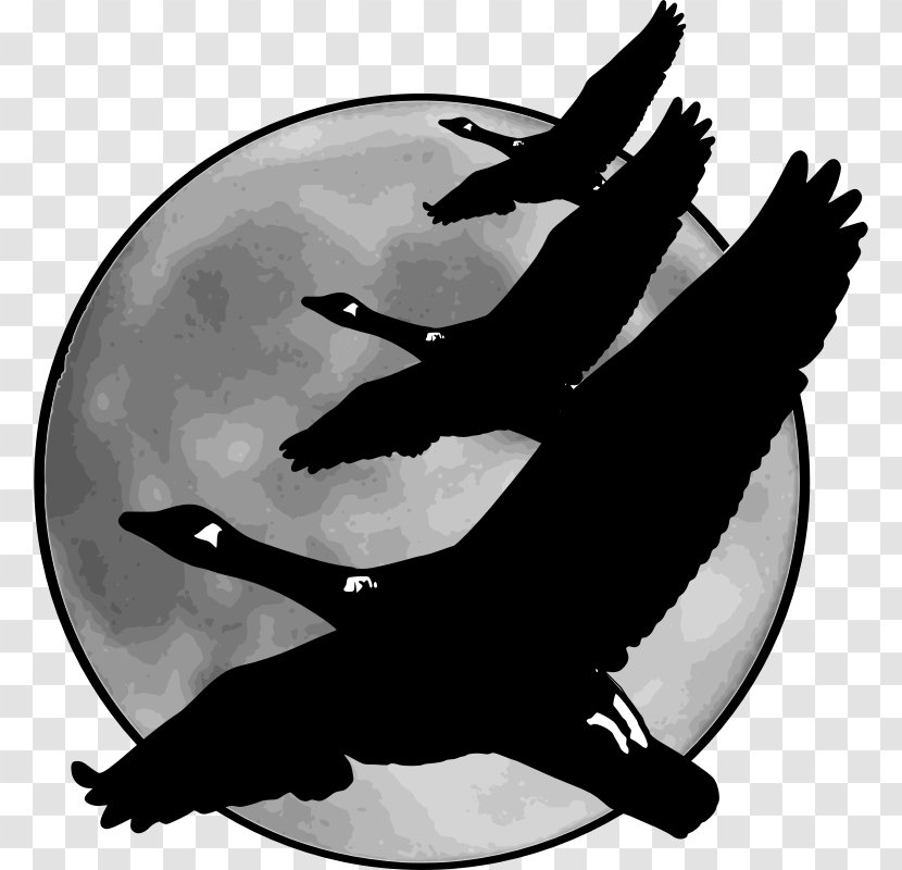 Goose Bird Moon V Formation Clip Art - Water - Images Of Geese Transparent PNG