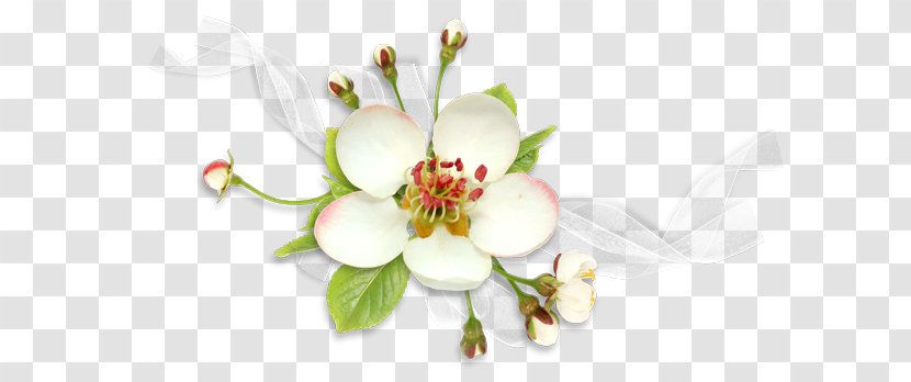 1080p High-definition Television Flower Wallpaper - Floral Design Transparent PNG
