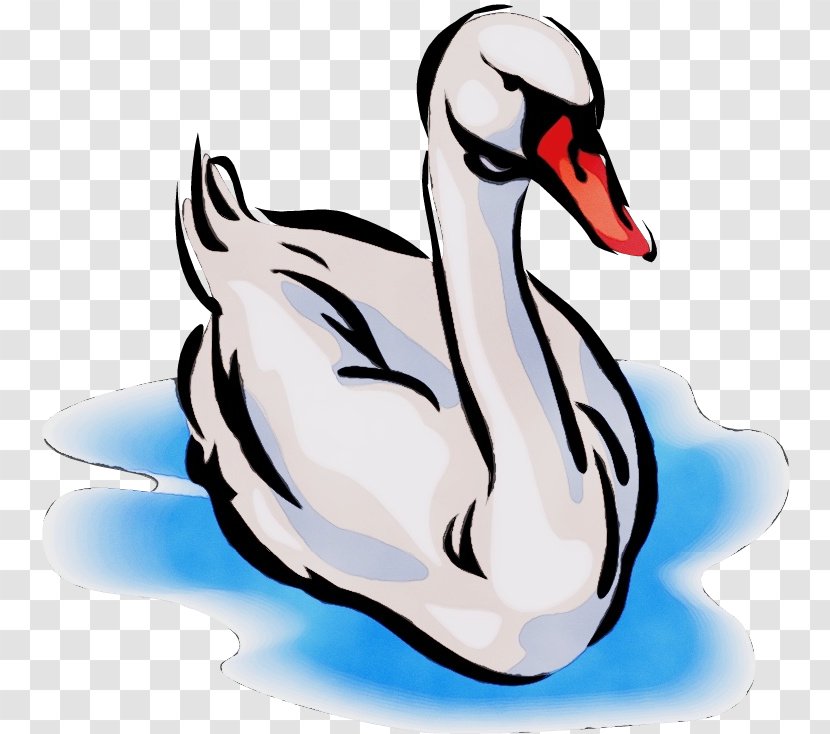 Water Background - Swan - Wildlife Goose Transparent PNG