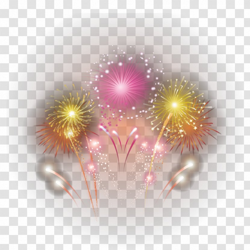 Clip Art - Petal - Fireworks Transparent PNG