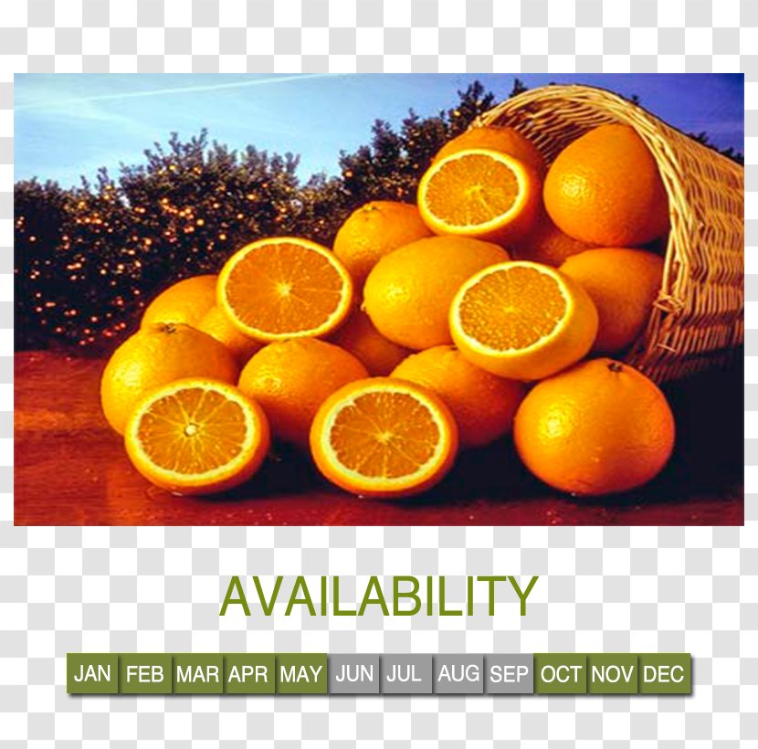 Tangerine Primary Education Orange CEIP Huerta Retiro Tangelo - Bitter - Vegetables Transparent PNG