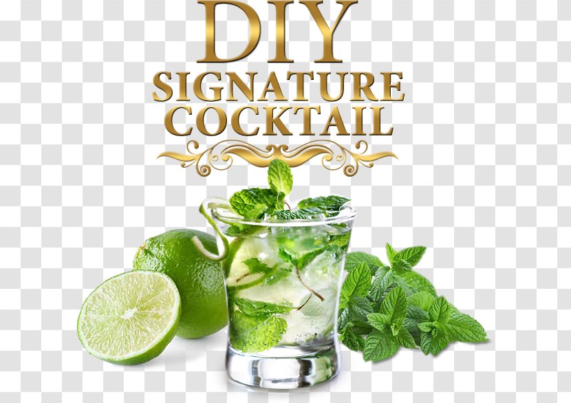 Mojito Cocktail Daiquiri Rum Highball - Non Alcoholic Beverage Transparent PNG