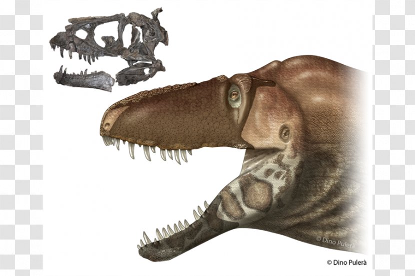 Tyrannosaurus Dinosaur Size Species Anagenesis - 2017 Transparent PNG