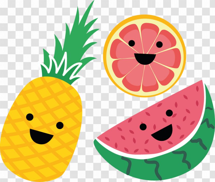 Fruit June Desktop Wallpaper 0 - Melon - Android L Transparent PNG