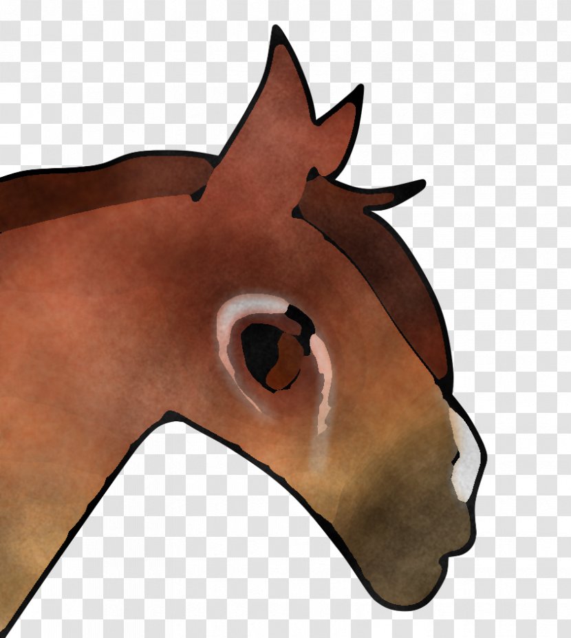 Face Nose Horse Head Snout - Eye Cartoon Transparent PNG