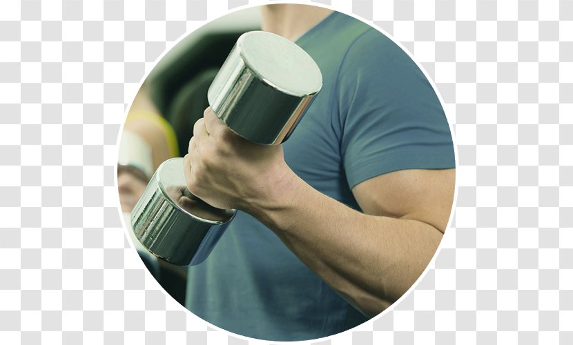 Weight Training Fitness Centre Exercise Personal Trainer Olympic Weightlifting - Dumbbell Transparent PNG