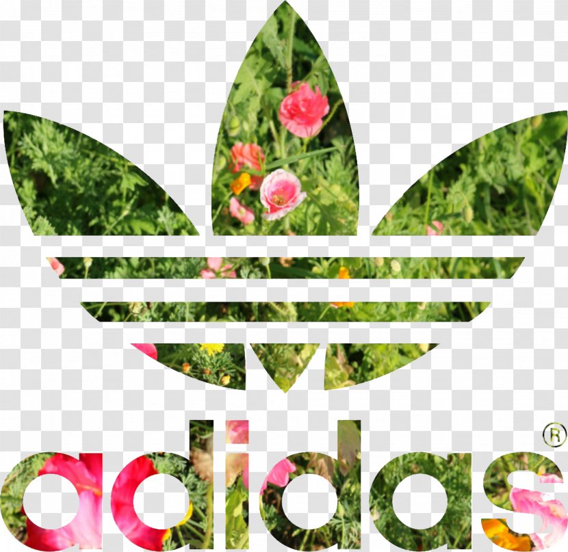 T-shirt Adidas Stan Smith Hoodie Originals - Top - Flower Logo Transparent PNG