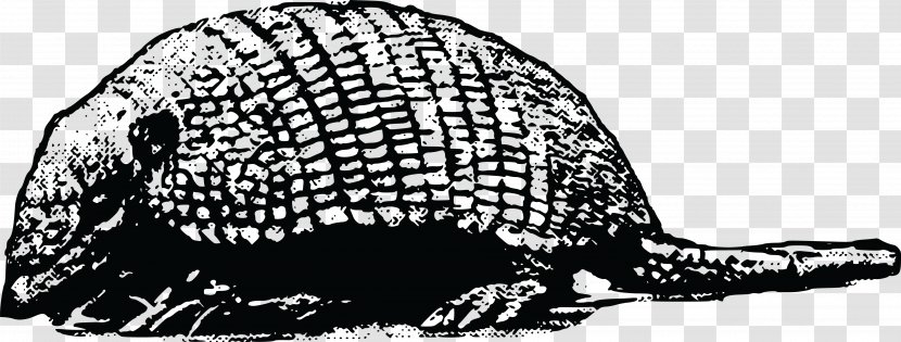 Armadillo Wildlife Glyptodon - Monochrome Transparent PNG