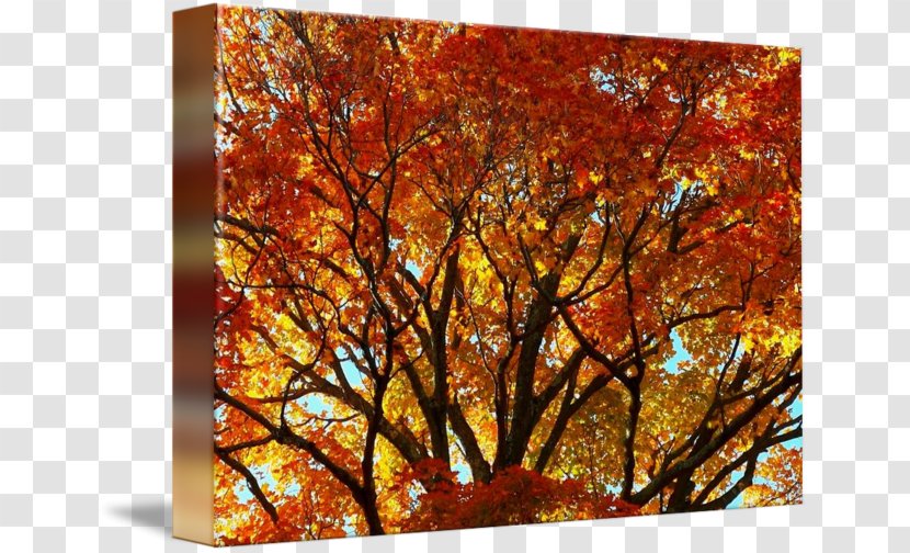 Maple Leaf Modern Art - Autumn Transparent PNG