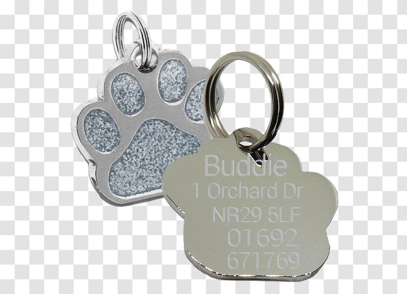 Key Chains Charms & Pendants Silver Transparent PNG