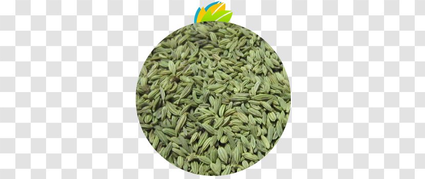 Fennel Indian Cuisine Cumin Seed Spice - Commodity - Ingredient Transparent PNG