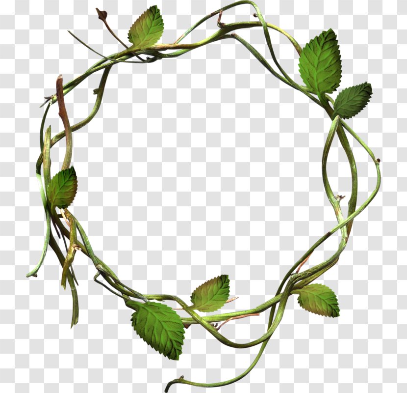 Clip Art - Plant - Green Leaves Grass Circle Transparent PNG