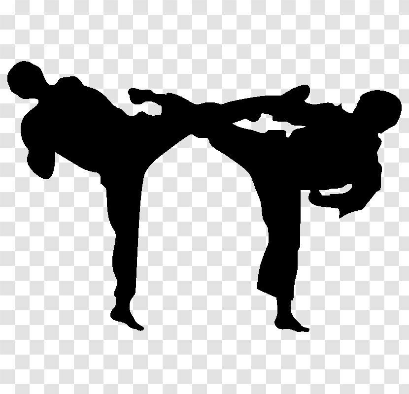 Karate Martial Arts Sport Tang Soo Do Budō Transparent PNG