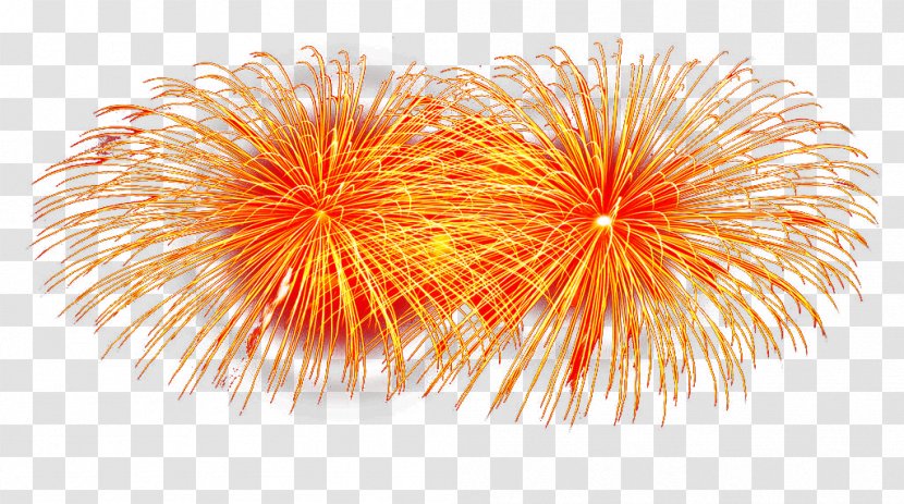 Fireworks Orange Citrus Xd7 Sinensis Artificier - Fond Blanc - Two Transparent PNG