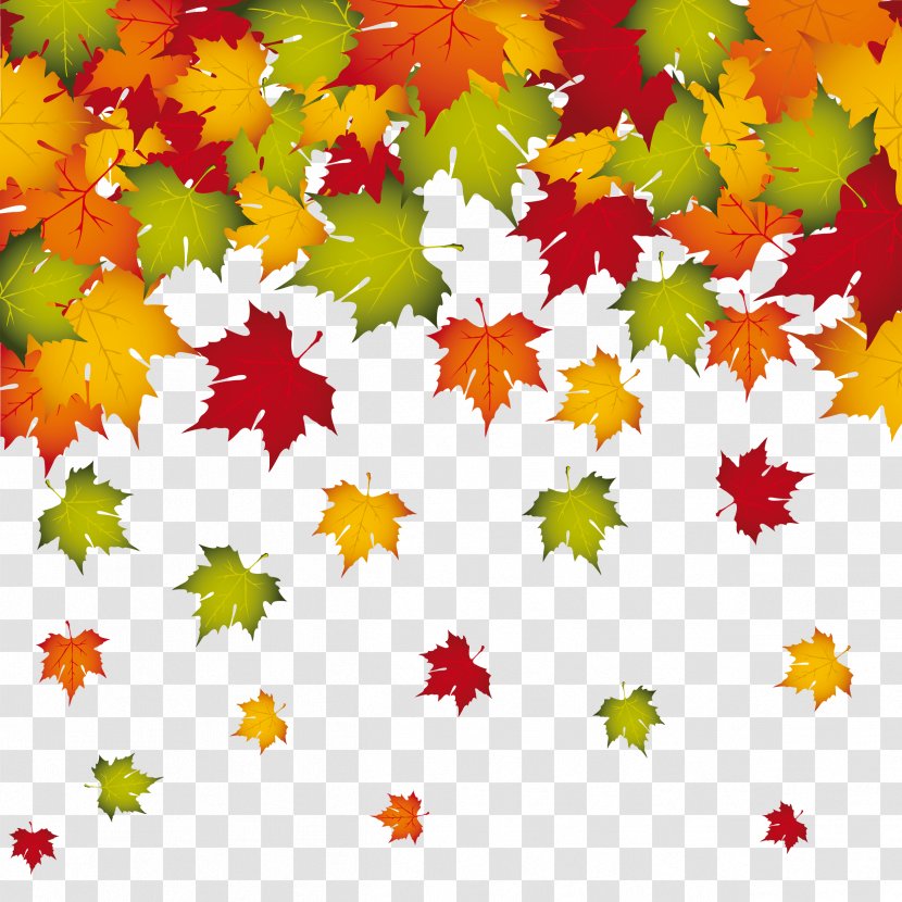 Autumn Leaf Color Clip Art - Transparent Fall Leaves Decoration Image Transparent PNG