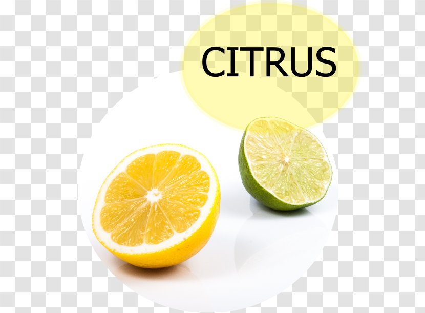 Corona Juice Lemon-lime Drink Carbonated Water - Citrus Transparent PNG