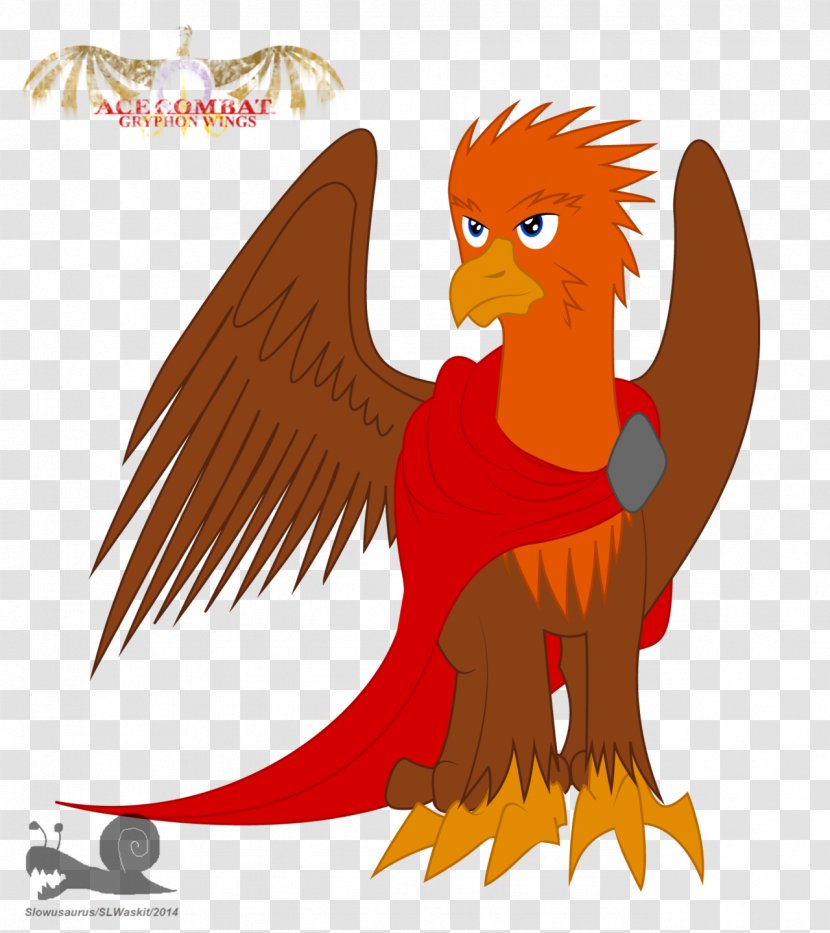 Chicken Beak Bird Of Prey - Carnivora Transparent PNG