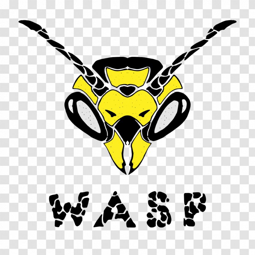 Hornet Insect Bee Wasp Illustration - Symbol - Hornets Head Image Transparent PNG