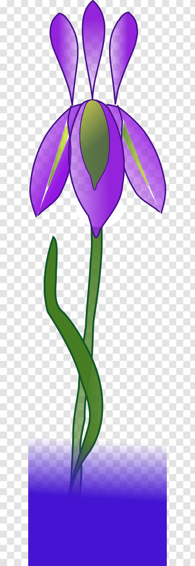 Iris Watercolor Painting Clip Art Transparent PNG