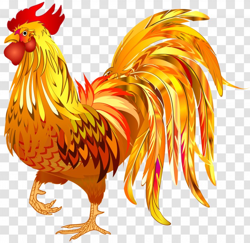 Chinese New Year Year's Day Rooster Wallpaper - Wing - Transparent Clip Art PNG Image Transparent PNG