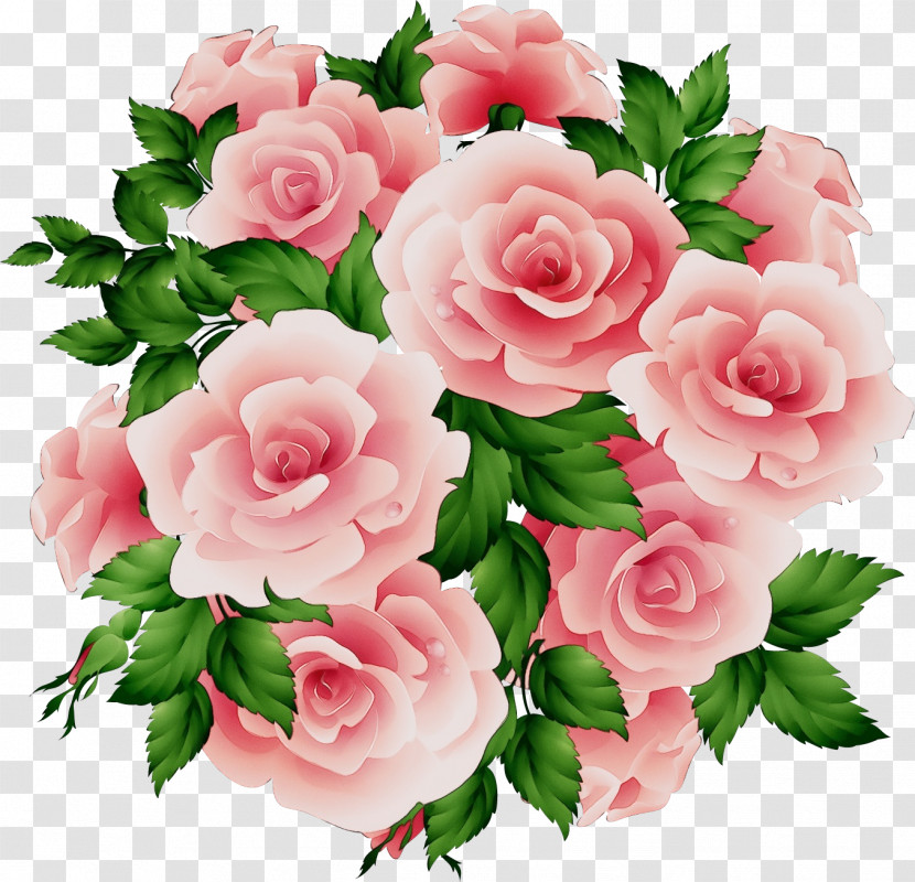 Garden Roses Transparent PNG