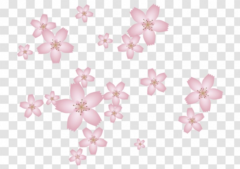 Petal Cherry Blossom Body Jewellery ST.AU.150 MIN.V.UNC.NR AD - Flower Transparent PNG