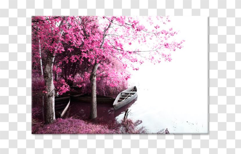 Canvas Print Photography Printing Art - Pink - Painting Transparent PNG