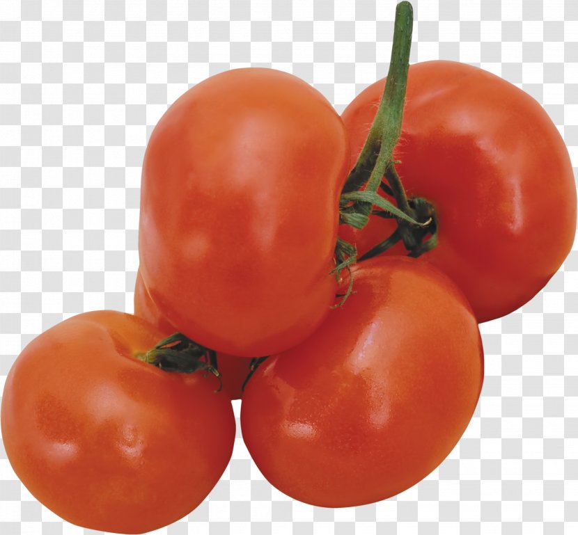Tomato Berry Cucumber Vegetable Fruit - Bush Transparent PNG