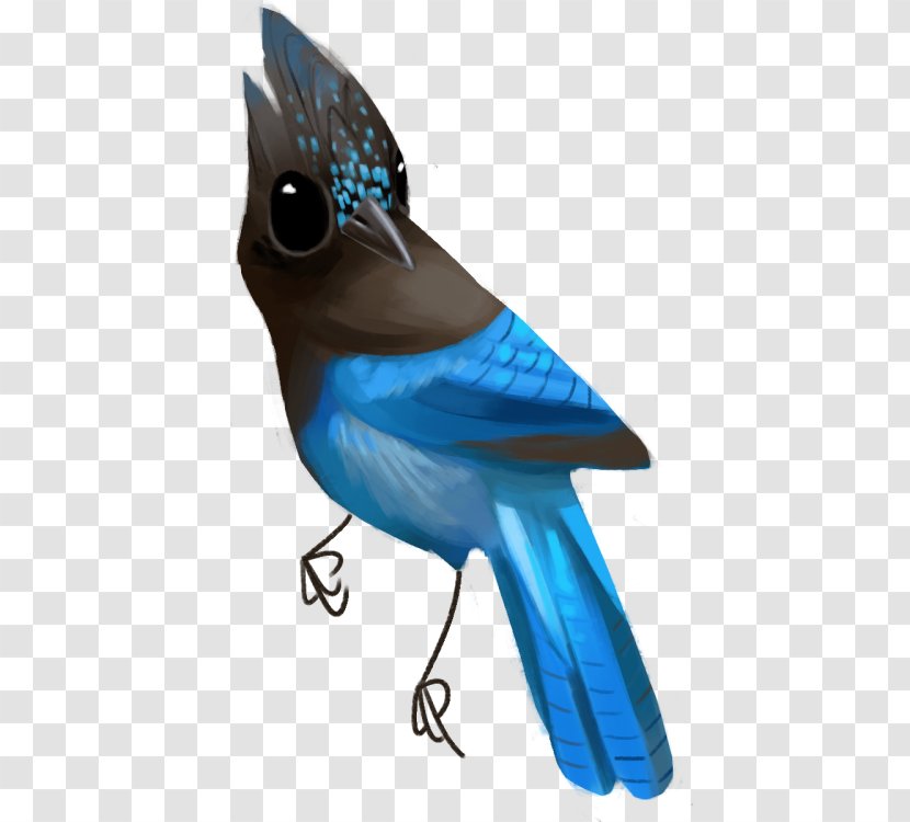 Blue Jay Cobalt Feather Beak - Perching Bird Transparent PNG