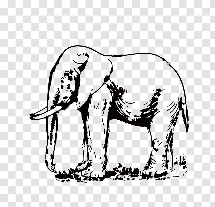 Asian Elephant White Clip Art - Elephants And Mammoths Transparent PNG