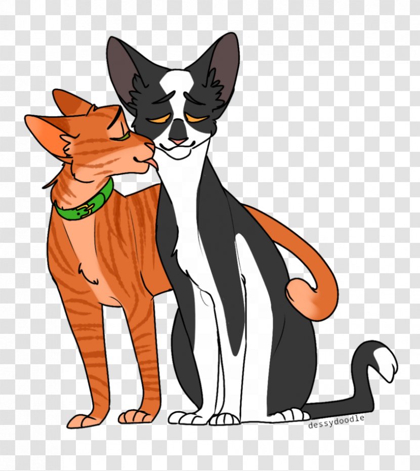 Whiskers Cat Tallstar Kitten Warriors - Vertebrate Transparent PNG