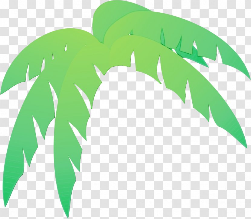 Palm Tree Leaf - Plants - Logo Flower Transparent PNG