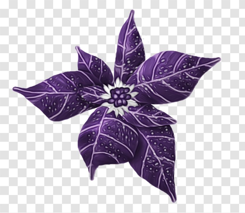 Purple Violet Flower Plant Leaf - Wildflower - Petal Transparent PNG