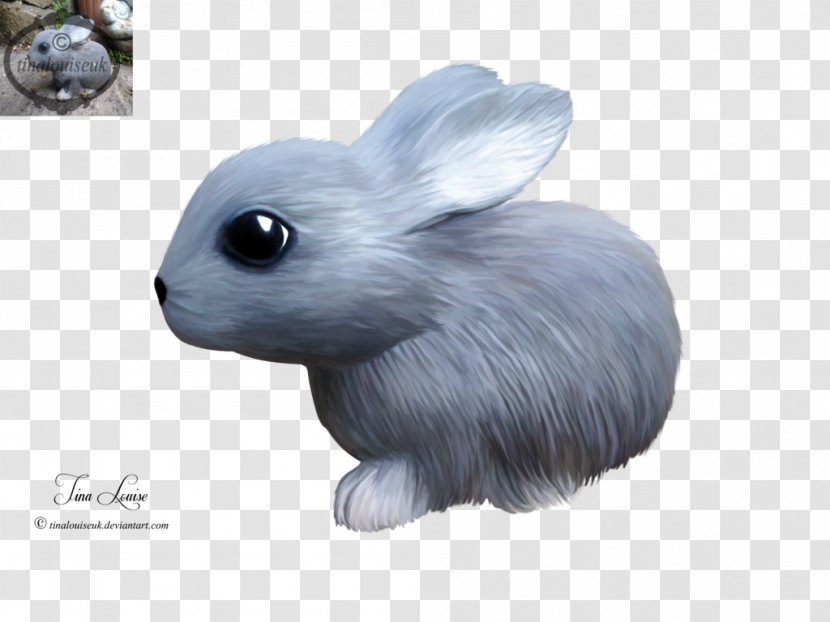 Hare Domestic Rabbit Pet Animal - Fauna Transparent PNG