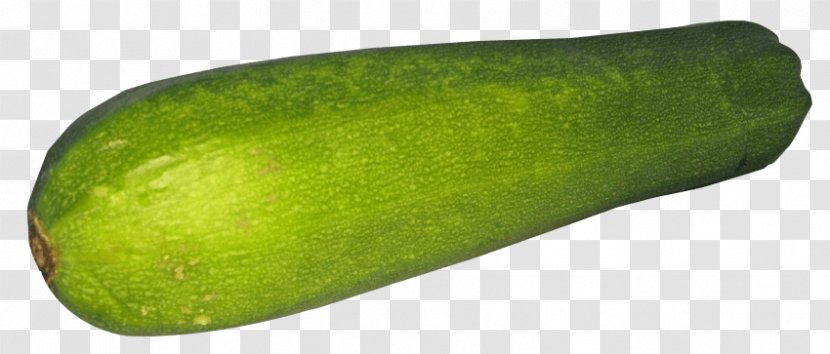 Wax Gourd Cucurbita Pepo Var. Cylindrica Food - Vegetable - Cucumber Transparent PNG