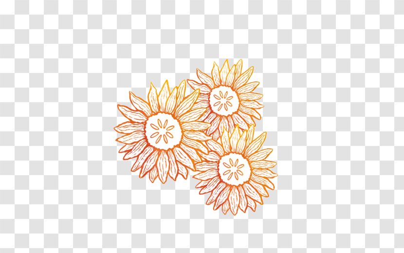 Floral Design Orange Common Sunflower Transparent PNG