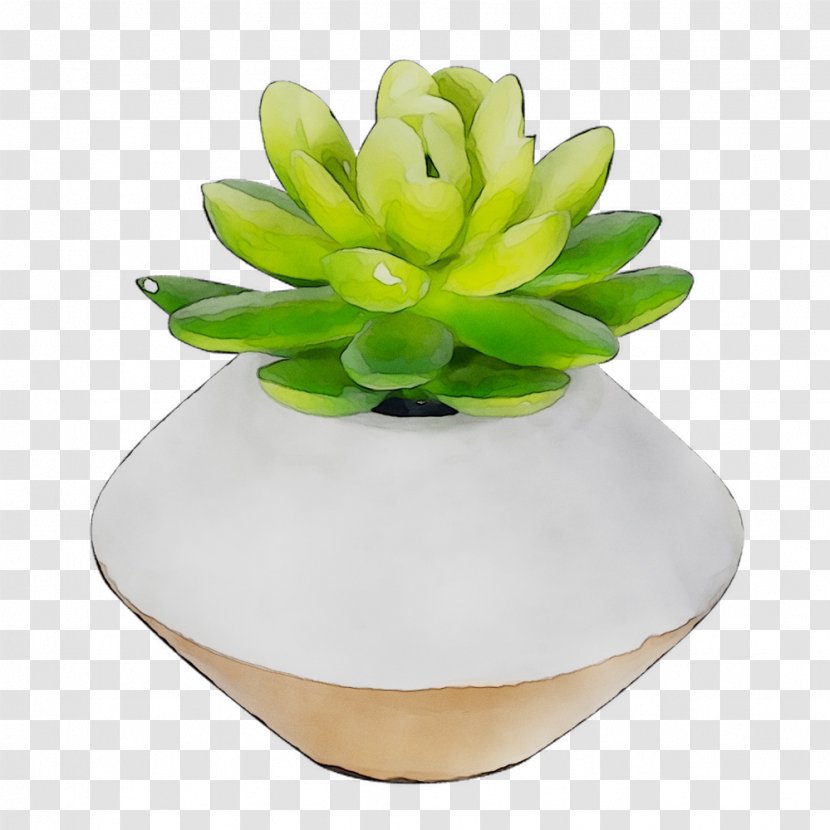 Flower Product Design - Green - White Mexican Rose Transparent PNG