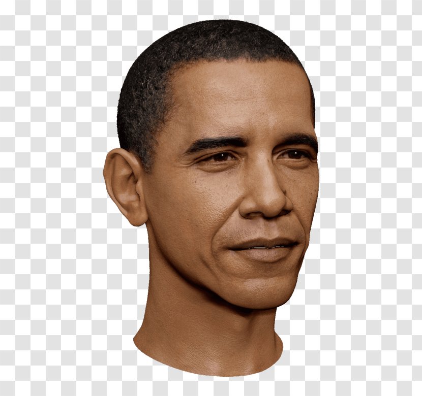 Barack Obama 2013 Presidential Inauguration White House President Of The United States - Presidency Transparent PNG