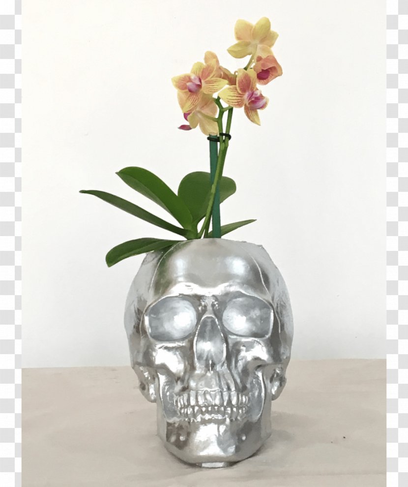 Moth Orchids Vase Floral Design Cut Flowers Transparent PNG