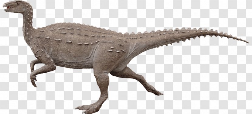 Velociraptor Moab Giants Scelidosaurus Nothronychus - Terrestrial Animal - Dinosaur Transparent PNG