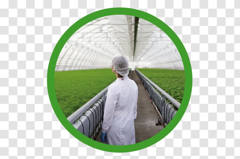 Agriculture Agricultural Science Stock Photography Research Biotechnology - Technology Transparent PNG