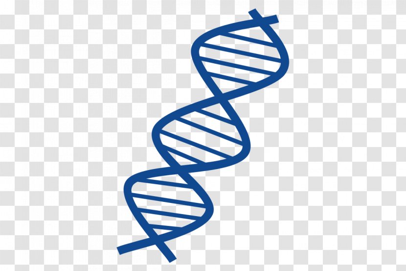 Shareware Treasure Chest: Clip Art Collection DNA Nucleic Acid Double Helix - Streamer Transparent PNG